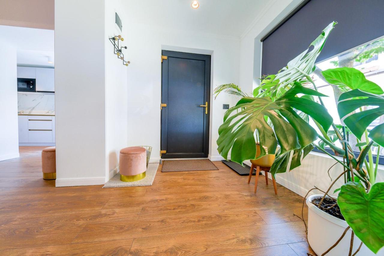 Designer Apartment In The City Center クルージュ＝ナポカ エクステリア 写真